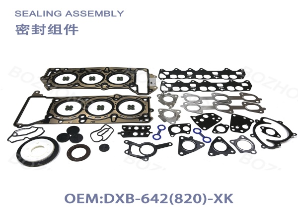OE:642(820)Benz Engine overhaul kits