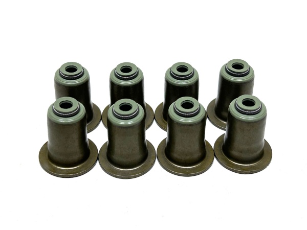 OE:1134 0029 720 Oil Seal