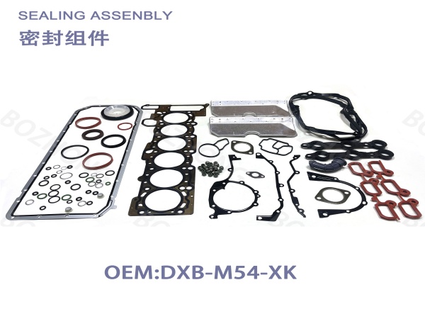 OE:M54 BMW Engine repair kits
