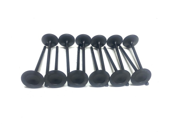 OE:LR010863 intake valve