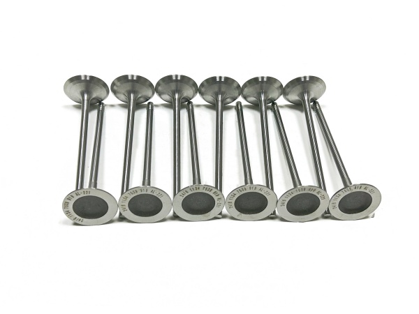 OE:1134 7539 919 intake valve