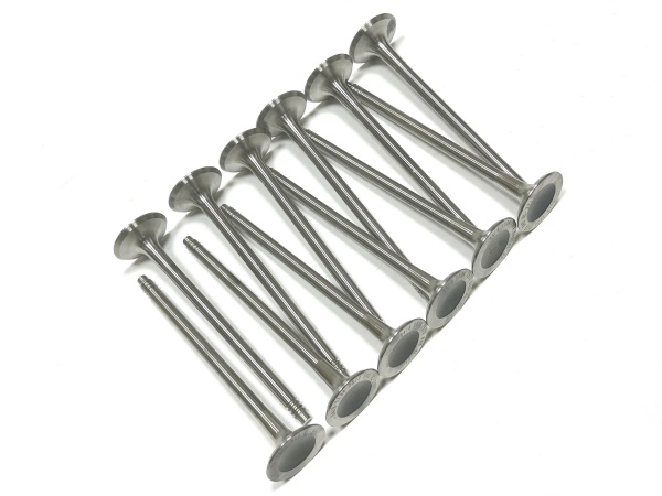 OE:1134 7573 840 exhaust valve