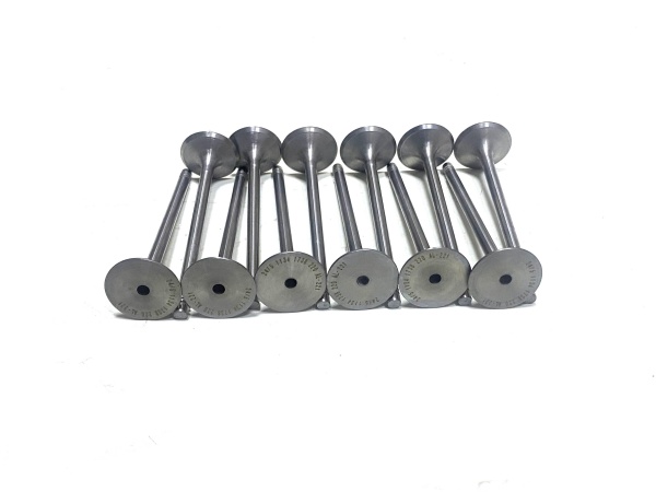 OE:1134 1738 220 intake valve