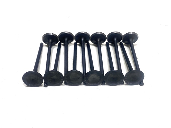 OE:275 053 02 01 intake valve