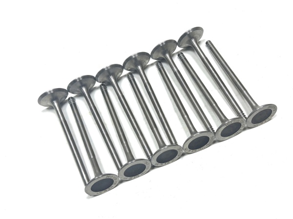 OE:1134 1707 519 exhaust valve