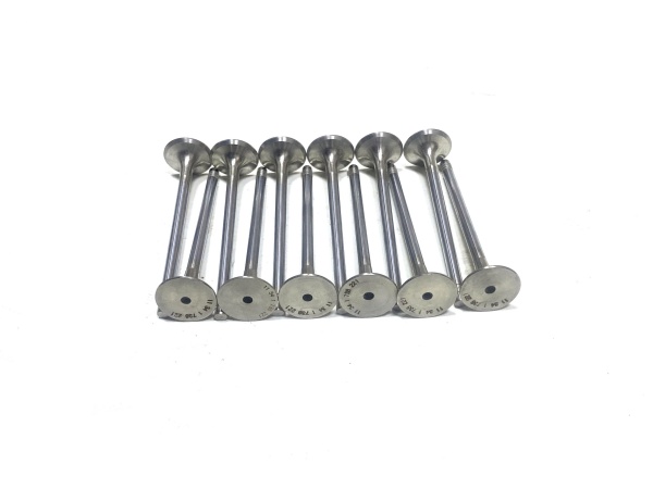 OE:1134 1738 221 exhaust valve